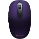 Canyon CNS-CMSW09V Violet