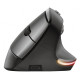 Trust Bayo Ergonomic Rechargeable WL Black (24110)