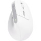 Trust Bayo 2 Ergonomic Wireless White (25398)