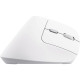 Trust Bayo 2 Ergonomic Wireless White (25398)