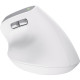 Trust Bayo 2 Ergonomic Wireless White (25398)