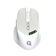 OFFICEPRO M520W White