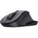 Trust Fyda Multi-device Black (25708)