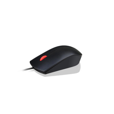 Lenovo Essential USB Black (4Y50R20863)