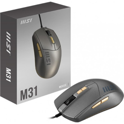 MSI M31