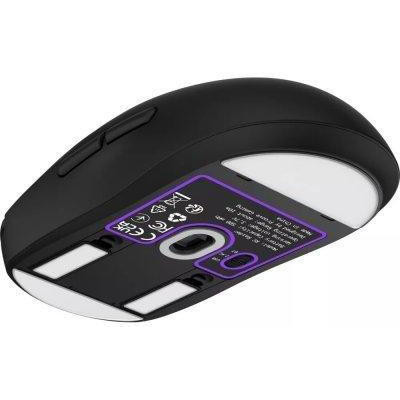 Proove Gaming RC Raider 8K Black (WMRR00122001)