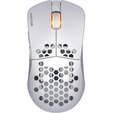 HATOR Stellar White (HTM651)