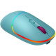 Canyon CNS-CMSW22DC