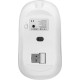 Proove Blink White (WMBL00002002)