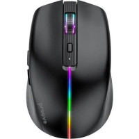 Proove Comet Black (WMCM00022001)