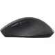 Trust Sura Wireless Mouse (19938)