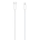 Apple Magic Mouse 2021 (MK2E3)