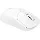 Bloody R72 Ultra White
