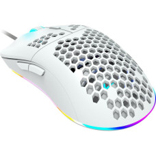 Canyon Puncher White (CND-SGM11W)