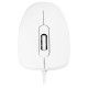 Modecom M10, 1000dpi, USB, White (M-MC-0M10-200)