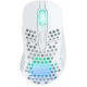 Xtrfy M4 RGB Wireless, White (XG-M4-WL-WHITE)