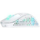 Xtrfy M4 RGB Wireless, White (XG-M4-WL-WHITE)