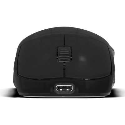 Endgame Geаr OP1w 4K v2 Black Transparent (PGW-EG-MOU-073)