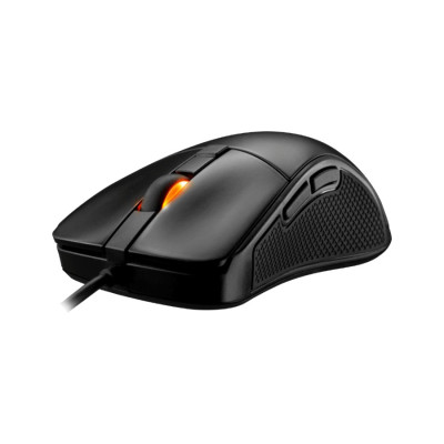 Cougar Surpassion