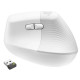 Logitech Lift for Business Off-White (910-006496)