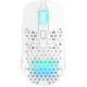 Xtrfy M42 WL RGB White (M42W-RGB-WHITE)