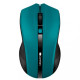 Canyon CNE-CMSW05G Wireless Green