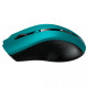 Canyon CNE-CMSW05G Wireless Green