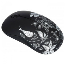 2E MF209 WL Fox (2E-MF209WC11)