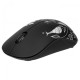 2E MF209 WL Fox (2E-MF209WC11)
