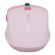 Canyon MW-26 Pink (CNS-CMSW26P)