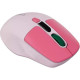Canyon MW-26 Pink (CNS-CMSW26P)