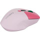 Canyon MW-26 Pink (CNS-CMSW26P)