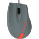 Canyon CNE-CMS11DG Gray/Red
