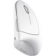 Trust Verto Wireless vertical ergonomic mouse (25132)