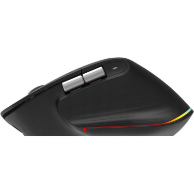 Acer Easy Fit Wireless Black (HP.EXPBG.021)