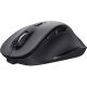 TRUST Fyda Wireless Mouse Eco (24727)