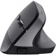 Trust Bayo+ Multidevice Ergonomic Wireless Black (25146)