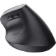 Trust Bayo+ Multidevice Ergonomic Wireless Black (25146)