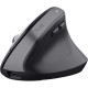 Trust Bayo+ Multidevice Ergonomic Wireless Black (25146)