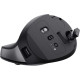 Trust Bayo+ Multidevice Ergonomic Wireless Black (25146)