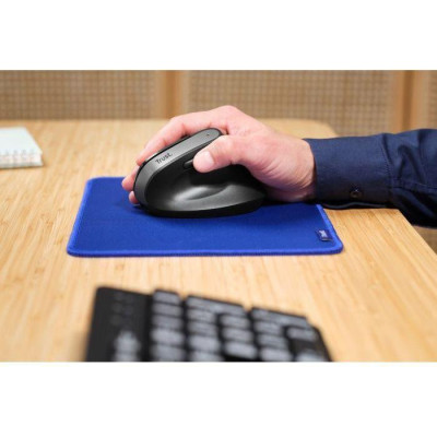 Trust Bayo+ Multidevice Ergonomic Wireless Black (25146)
