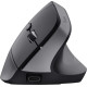 Trust Bayo+ Multidevice Ergonomic Wireless Black (25146)