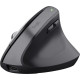 Trust Bayo+ Multidevice Ergonomic Wireless Black (25146)