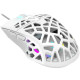 Canyon Puncher GM-20 White (CND-SGM20W)