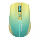Canyon MW-44 Yellow/Blue (CNS-CMSW44UA)