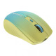 Canyon MW-44 Yellow/Blue (CNS-CMSW44UA)