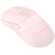 A4Tech Fstyler FG50 Plus Pink