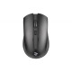 2E MF217 WL Black (2E-MF217WB)
