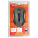 Defender Accura MM-965 Wireless (52968)