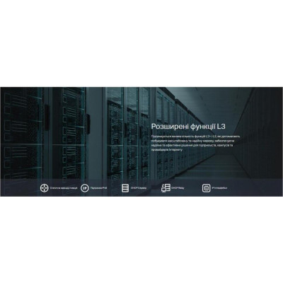 TP-Link TL-SX3206HPP